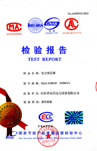 长春电力变压器检测报告